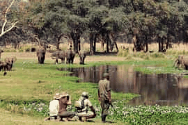 Walking safari