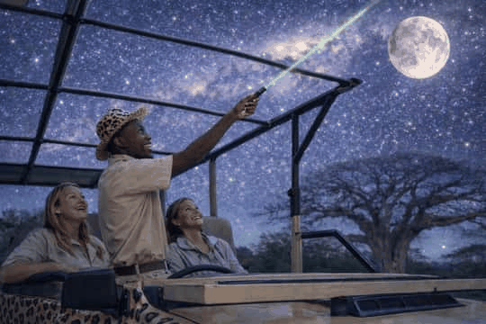 Stargazing & night safari